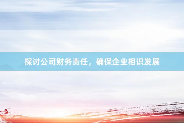 探讨公司财务责任，确保企业相识发展