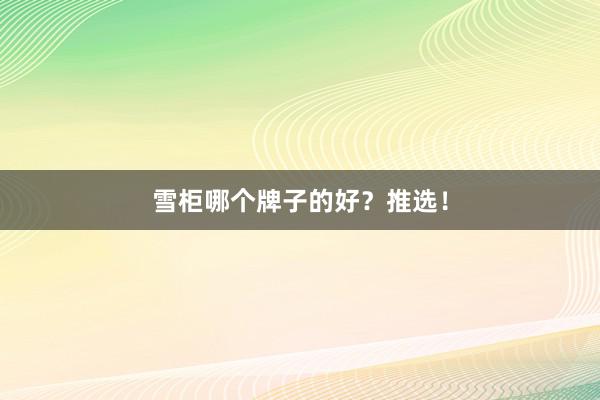 雪柜哪个牌子的好？推选！