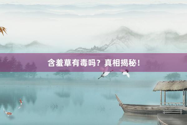 含羞草有毒吗？真相揭秘！